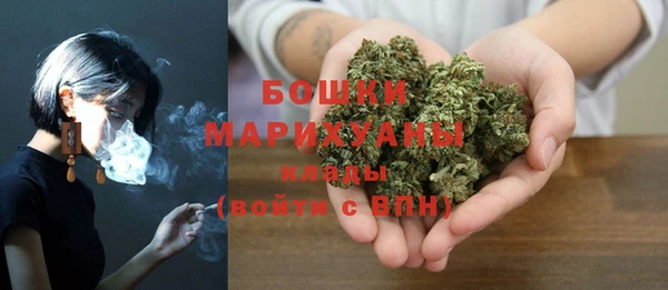 мдпв Майский