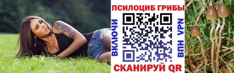 Галлюциногенные грибы ЛСД  Алексеевка 