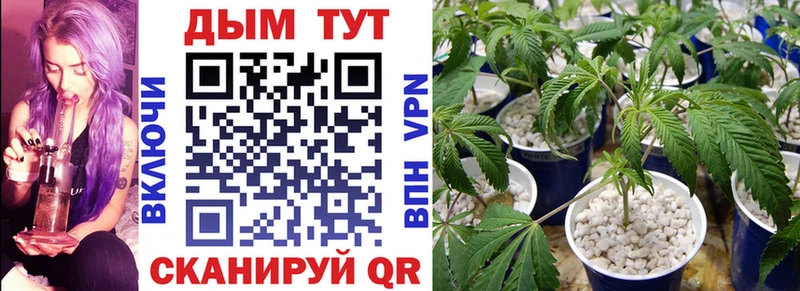 цена   кракен сайт  Бошки Шишки гибрид  Алексеевка 